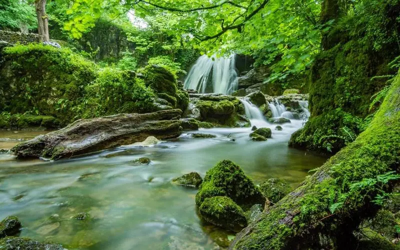 绿色科技高标准
